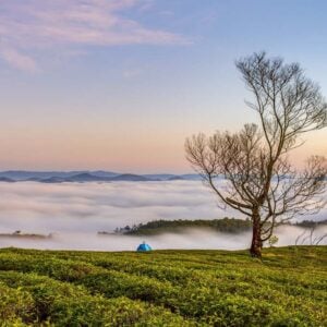 Akustisk billede – tynd 100x50x2-4cm, også med eget foto (1)