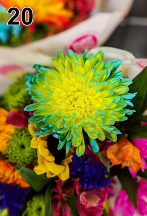 Akustisk billede - tynd 100x50x2-4cm, også med eget foto - 20